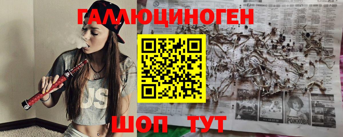 Заинск  Галлюциногенные грибы Psilocybine cubensis  Псилоцибиновые грибы Cubensis  Вход с VPN 